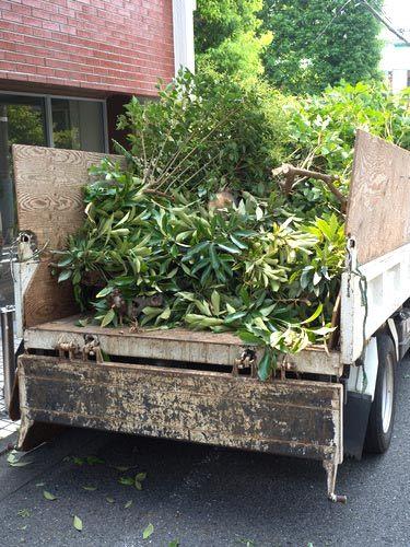 Évacuation de déchets verts, Enlèvement