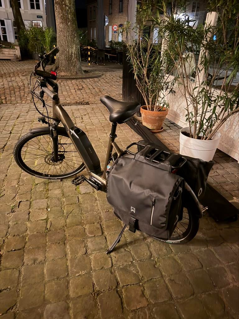 Giant Expression E-bike, 5 jaar garantie, Ophalen of Verzenden, Zo goed als nieuw