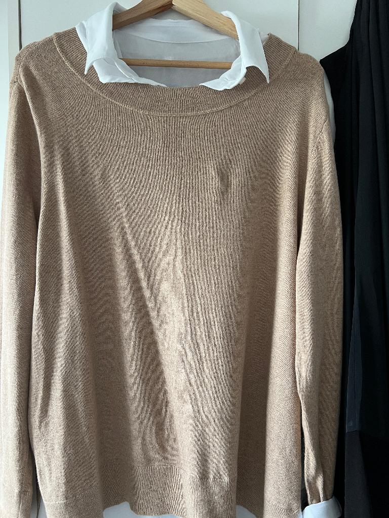 Pulls, Kleding | Dames, Ophalen, Nieuw, Maat 46/48 (XL) of groter, Beige