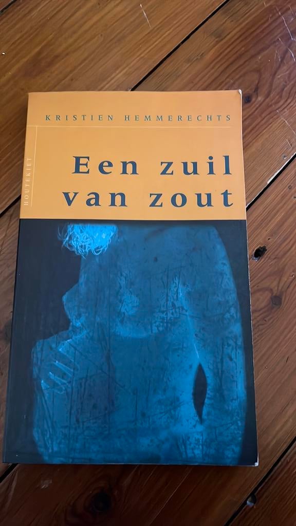 Een zuil van zout van Kristien Hemmerechts, Ophalen of Verzenden, Zo goed als nieuw