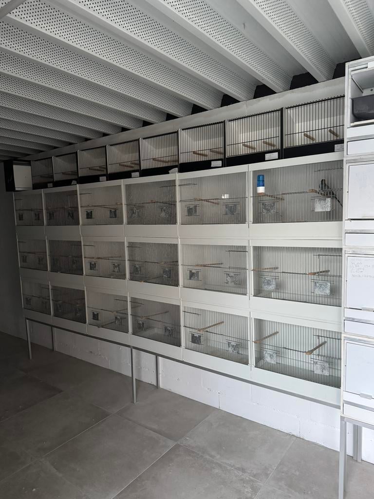 Batterie d’elevage pvc blanc