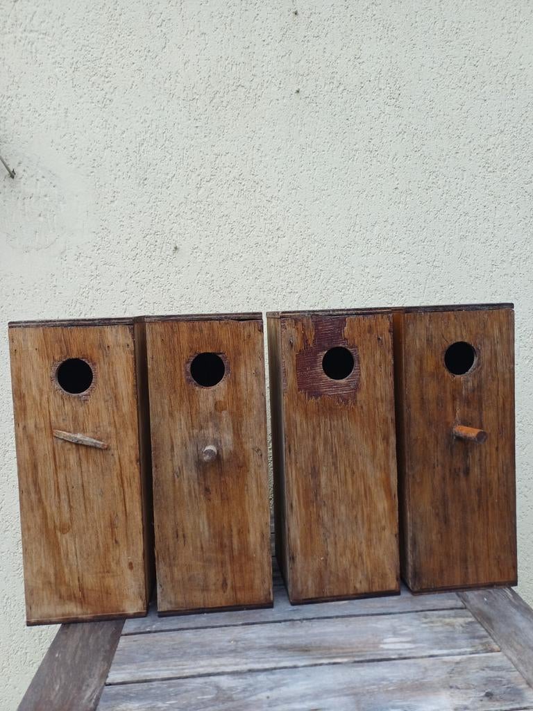 4 heel degelijke broedblokken