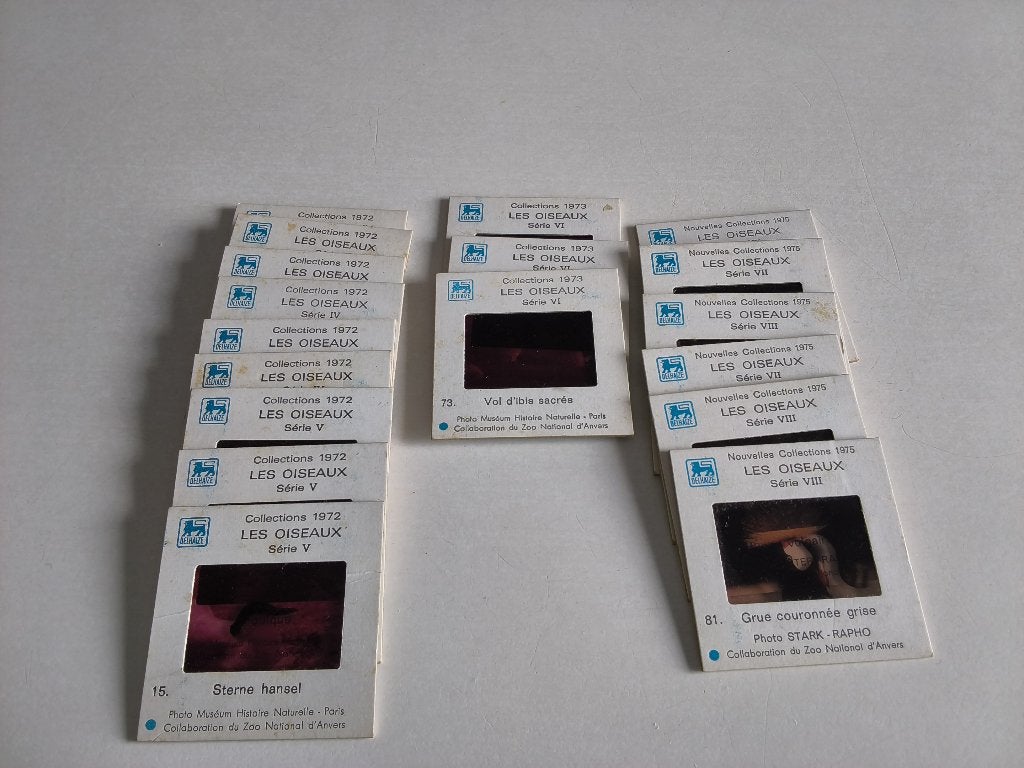 Lot de 18 anciennes diapositives LES OISEAUX, Enlèvement ou Envoi, Utilisé, Oiseaux, Autres types