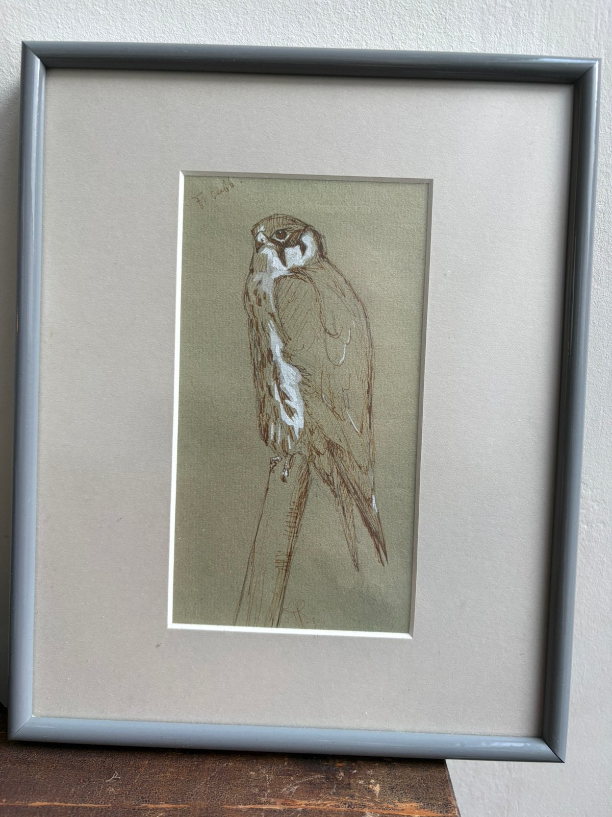 Prent van Lammervalk door H.J. Slijper, Antiek en Kunst, Ophalen of Verzenden, Dieren en Natuur