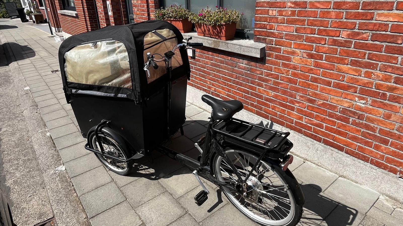 Elektrische Babboe bakfiets - met hondenluik, Ophalen, Zo goed als nieuw