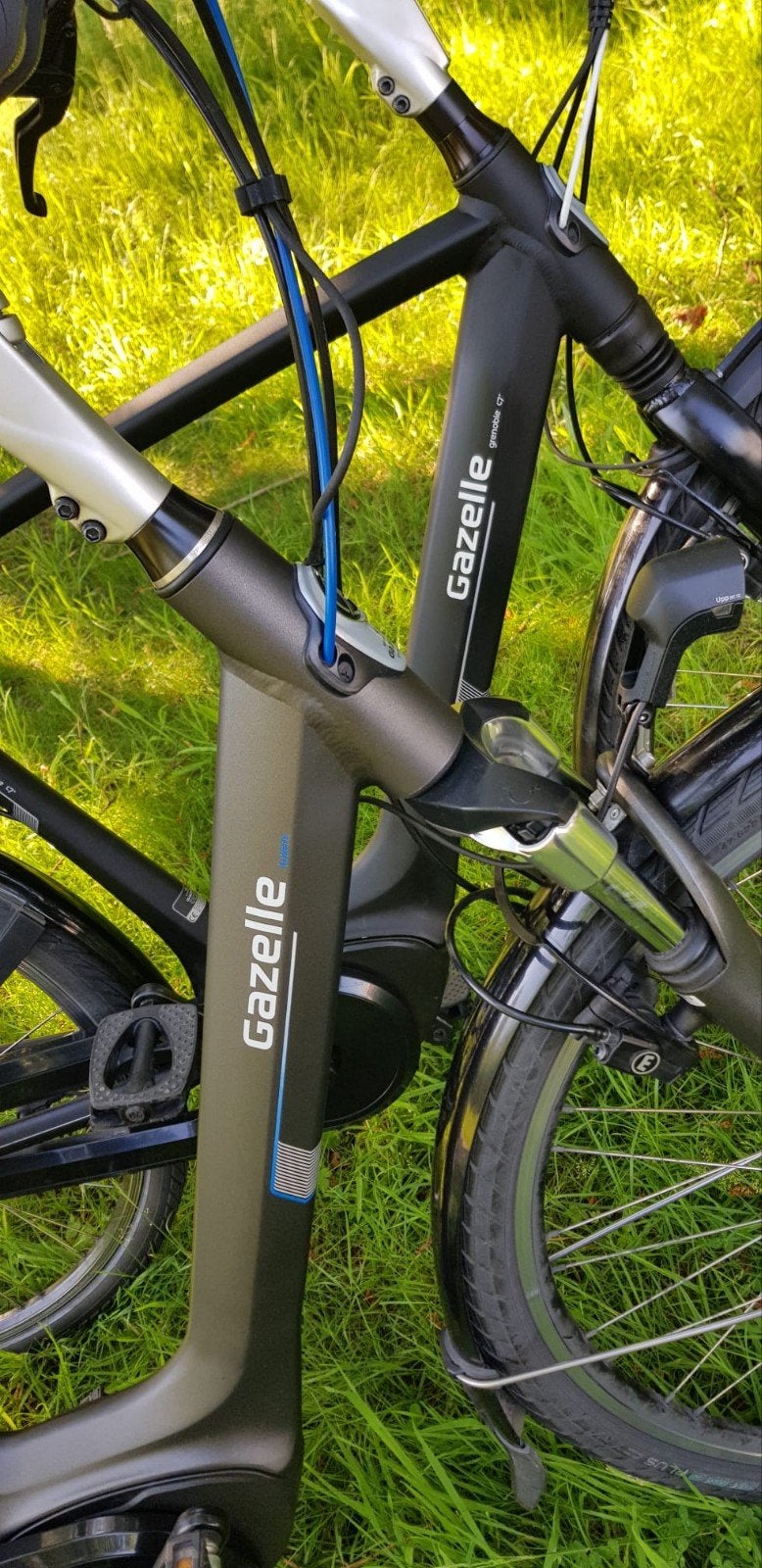 Branchez la Gazelle BOSCH MID-ENGINE électrique, Enlèvement, Gazelle