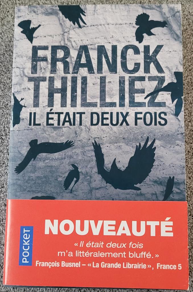 Puzzle Criminel : "Il était deux fois" – Franck Thilliez, Enlèvement, Neuf, FRANCK THILLIEZ