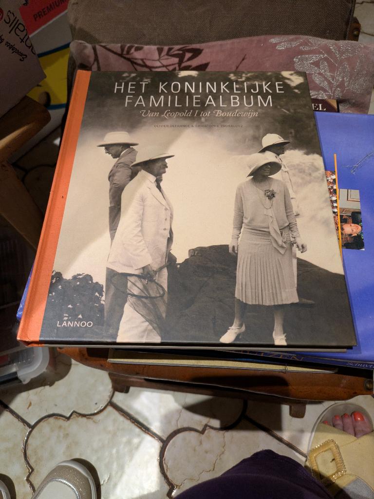 Het koninklijke familie album, Verzamelen, Koningshuis en Royalty, Ophalen of Verzenden, Zo goed als nieuw, Tijdschrift of Boek