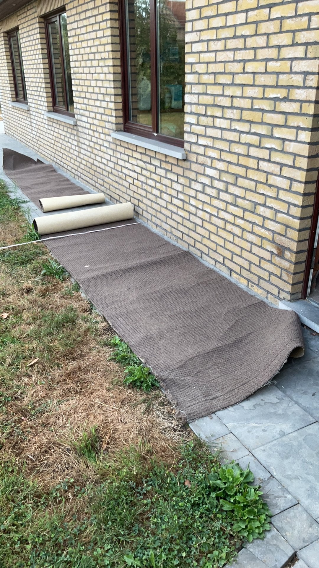Tapijten voor op een trap in bruine kleur, Ophalen, Nieuw, Trap