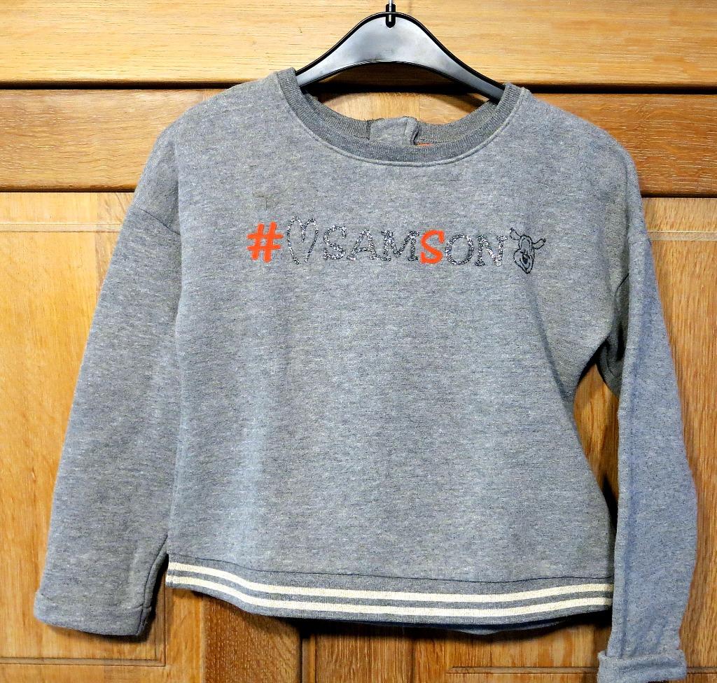 Sweat-shirt Samson, 6 ans (116), TBE, Enfants & Bébés, Enlèvement ou Envoi, Pull ou Veste, JBC, Utilisé