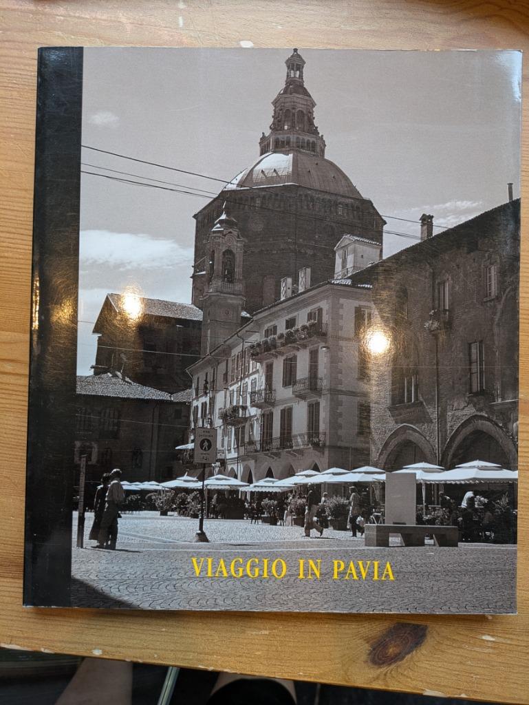 Viaggio in Pavia  Cesare Angelini fotoboek, Boeken, Reisverhalen, Ophalen of Verzenden, Zo goed als nieuw, Cesare Angelini, Europa