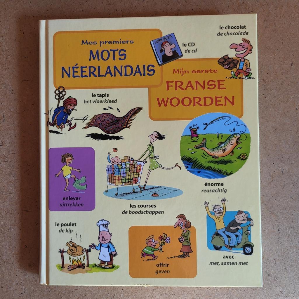 Dictionnaire français-néerlandais pour enfants, Livres, Enlèvement ou Envoi, Comme neuf, Français