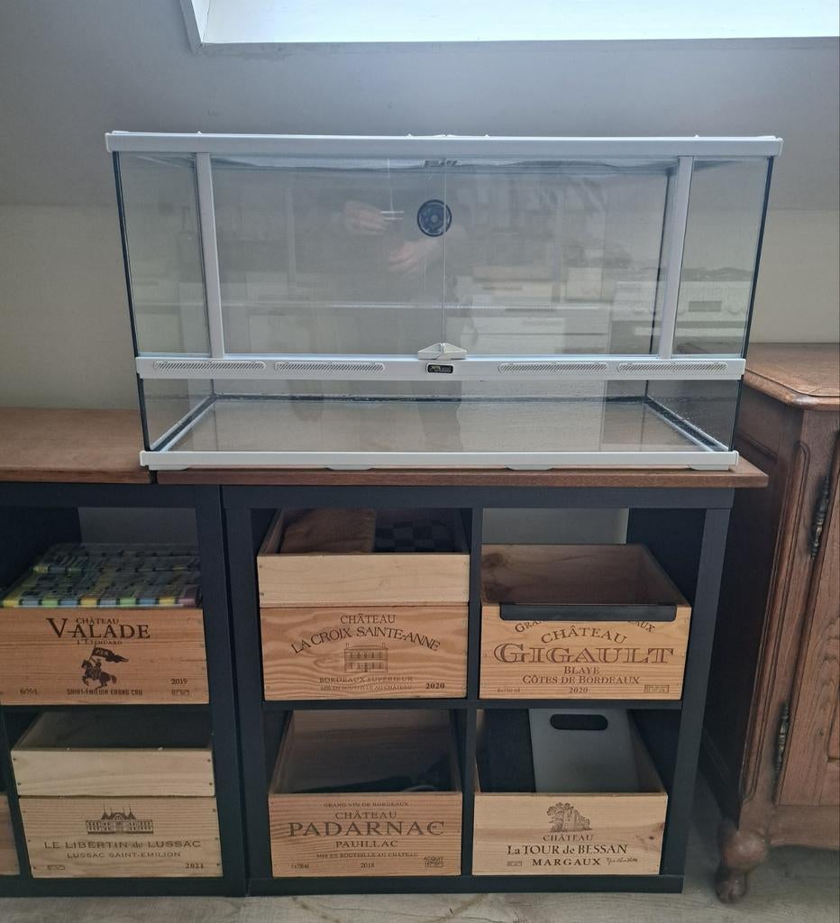 Terrarium, Enlèvement