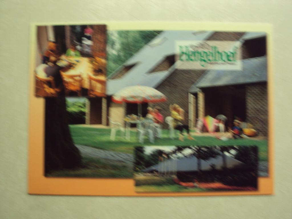 54782 - HOUTHALEN - HENGELHOEF - 3 ZICHTEN - ZIE 2 FOTO'S, Envoi