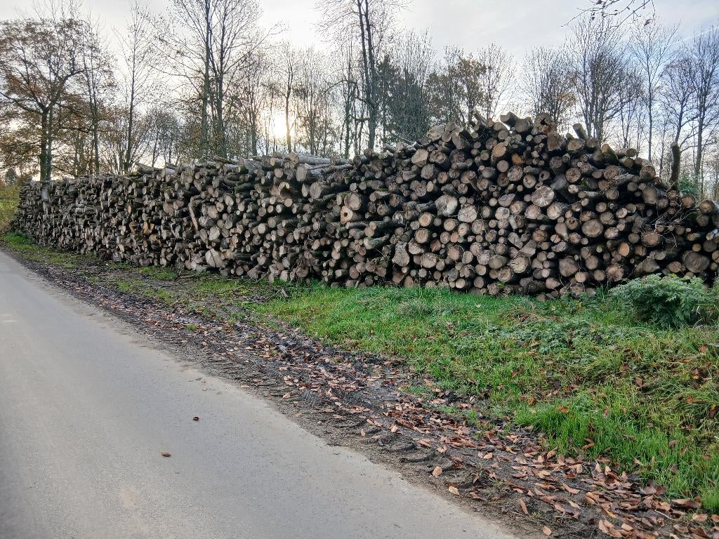 BOIS DE CHAUFFAGE SEC DE QUALITES TOUTE LANNEE!!!, Enlèvement ou Envoi, Utilisé, Autres types, Bois dur