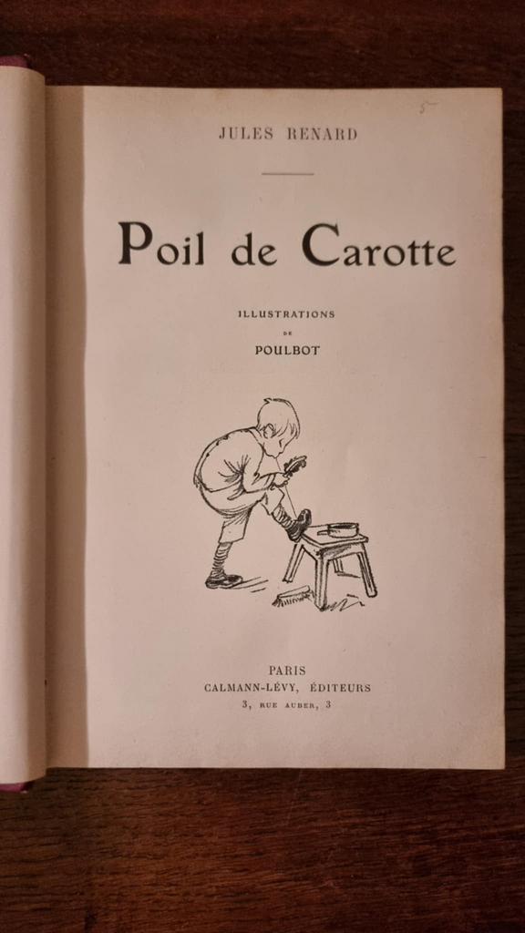 Wortelhaarillustratie kip, Ophalen of Verzenden, Zo goed als nieuw