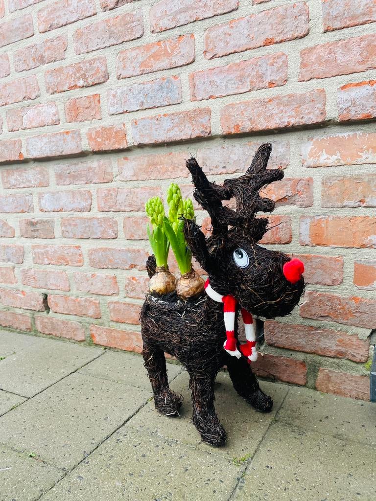 Rendier zonder plant of bloem, Tuin en Terras, Bloempotten, Ophalen of Verzenden