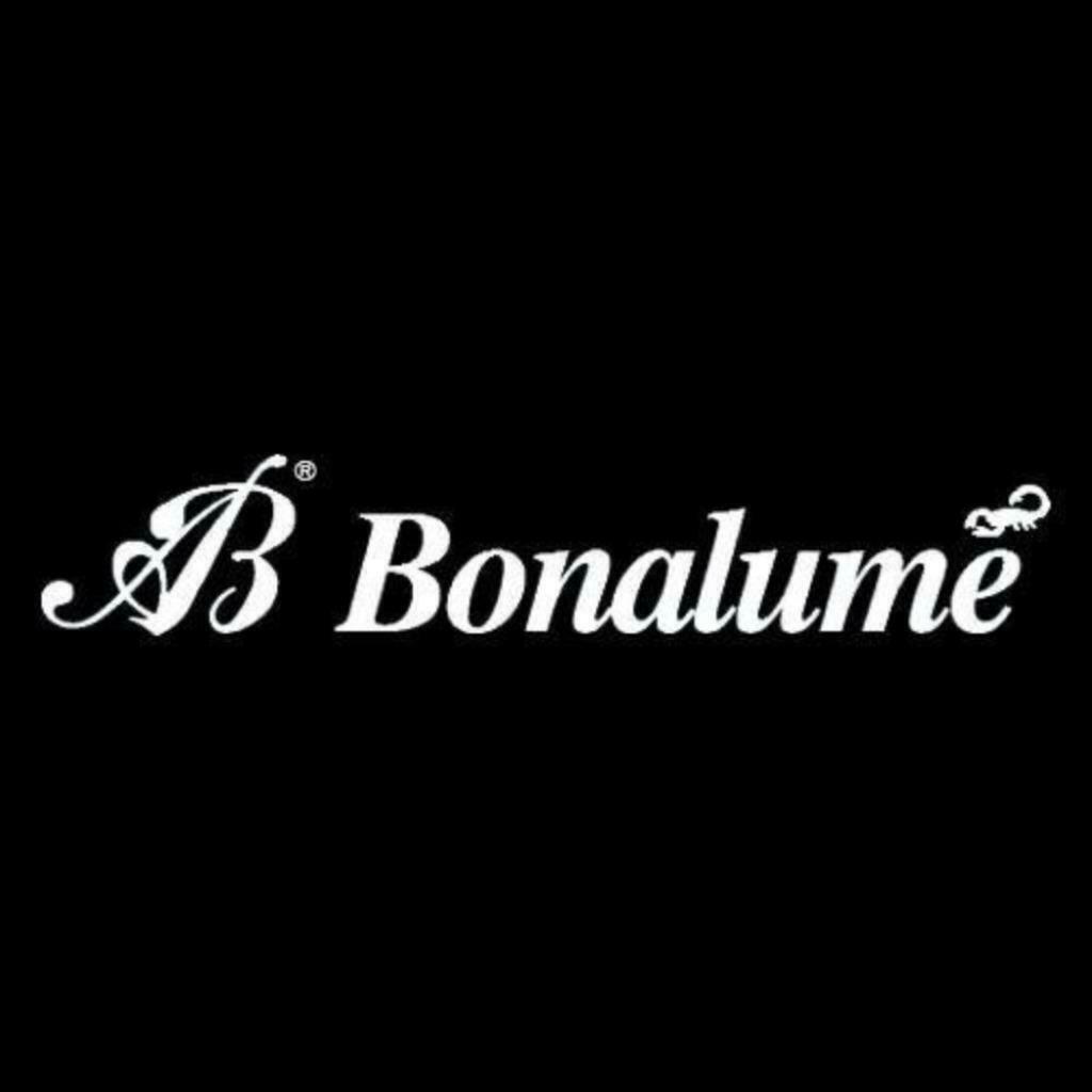 Robinet, régulateur de pression du turbo overboost Bonalume, Ophalen of Verzenden
