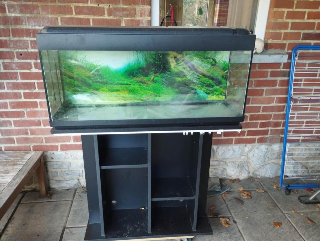 Aquarium 120L, Enlèvement
