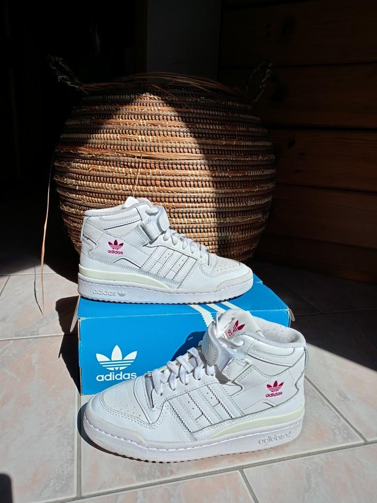 Baskets hauts, Neuf, Adidas, Sneakers et Baskets, Blanc