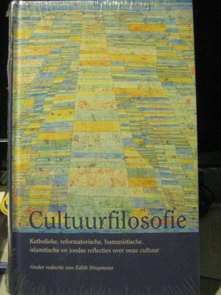 Boek 'Cultuurfilosofie', Boeken, Filosofie, Nieuw, Cultuurfilosofie, Ophalen of Verzenden