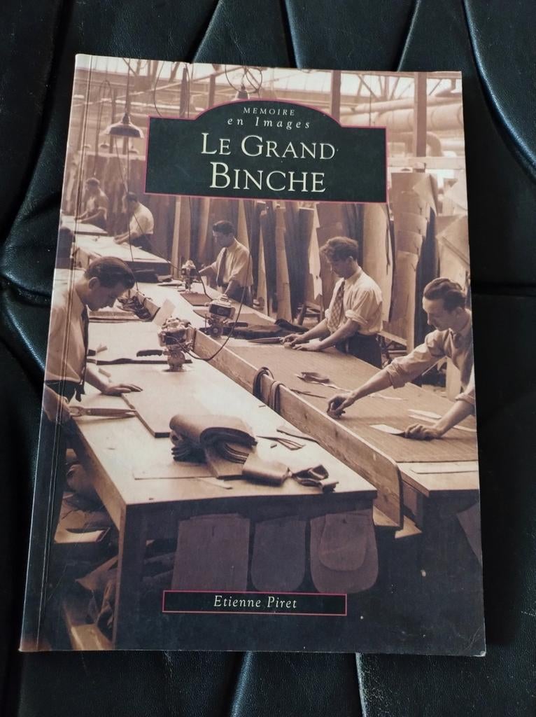 Livre sur Binche, Enlèvement ou Envoi, Comme neuf