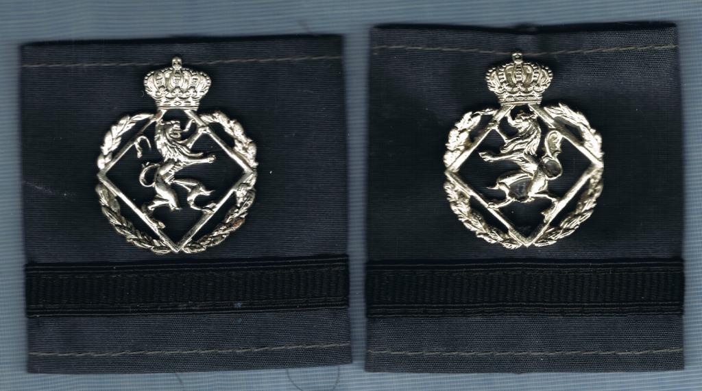 Belgian RMA Airforce rank ( GR20 ), Enlèvement ou Envoi, Armée de l'air, Emblème ou Badge