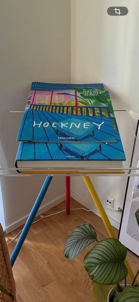 David Hockney - A Bigger Book, Enlèvement