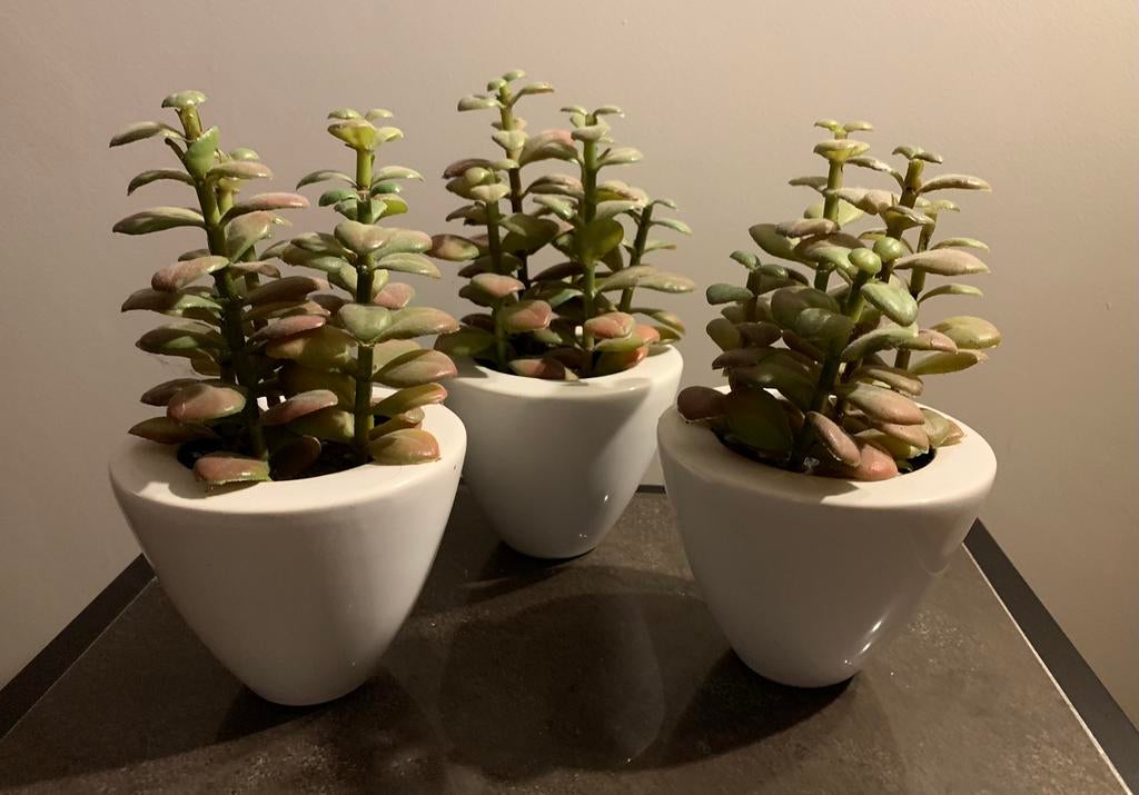 3 witte potjes met kunstplant, Ophalen of Verzenden, Zo goed als nieuw, Binnen
