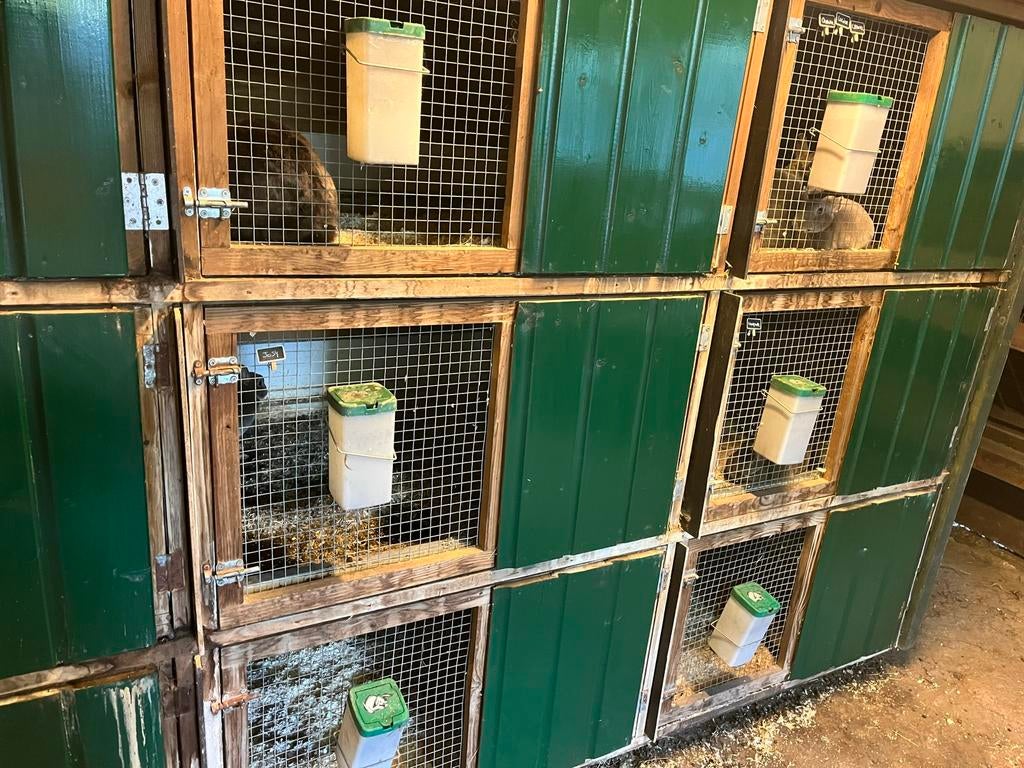 Clapier pour lapin, Animaux & Accessoires, Enlèvement, Comme neuf