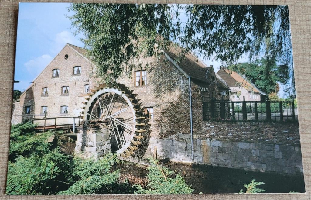 Postkaart: Bosmolen, Maaseik, Enlèvement ou Envoi, Non affranchie, Limbourg