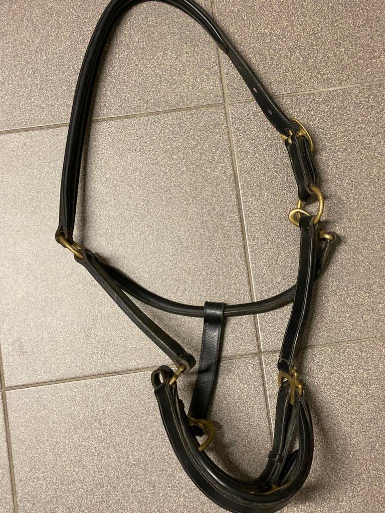 Halster zwart leder pony, Ophalen, Zo goed als nieuw