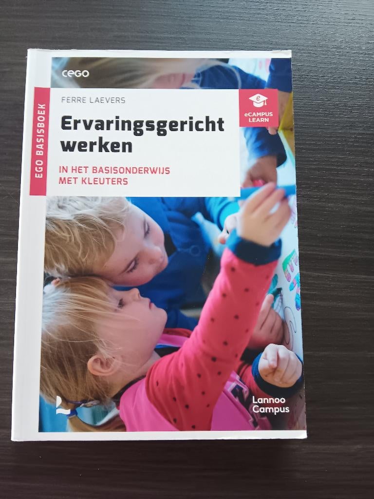 Ervaringsgericht werken - Ferre Laevers, Boeken, Studieboeken en Cursussen, Ophalen of Verzenden, Zo goed als nieuw