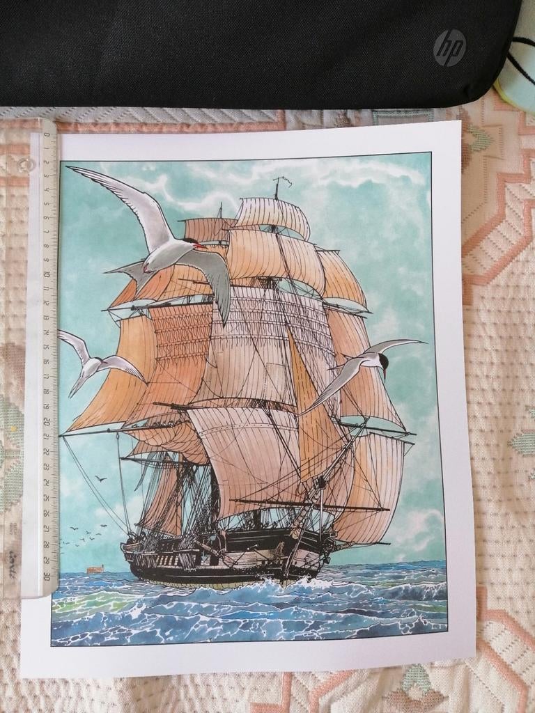 Affiche Les passagers du vent de François Bourgeon, Enlèvement ou Envoi, Comme neuf