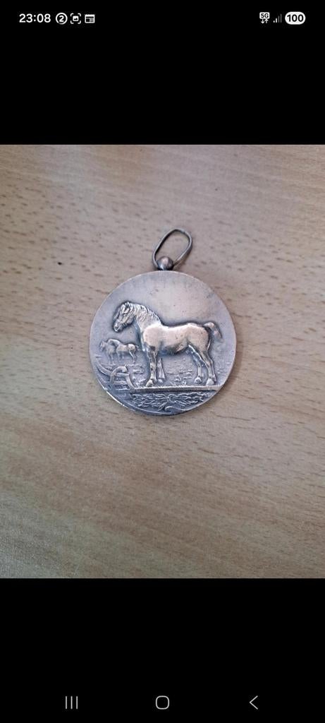 Oude medaille uit 1949, Postzegels en Munten, Ophalen of Verzenden
