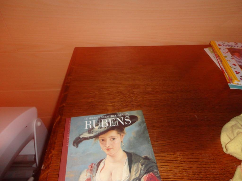 kunstboek Rubens, Enlèvement ou Envoi, Neuf