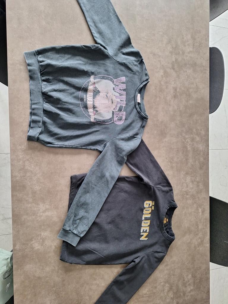 Truien maat 158/164 5€/samen, Kinderen en Baby's, Kinderkleding | Maat 158, Ophalen of Verzenden, WE, Meisje, Trui of Vest