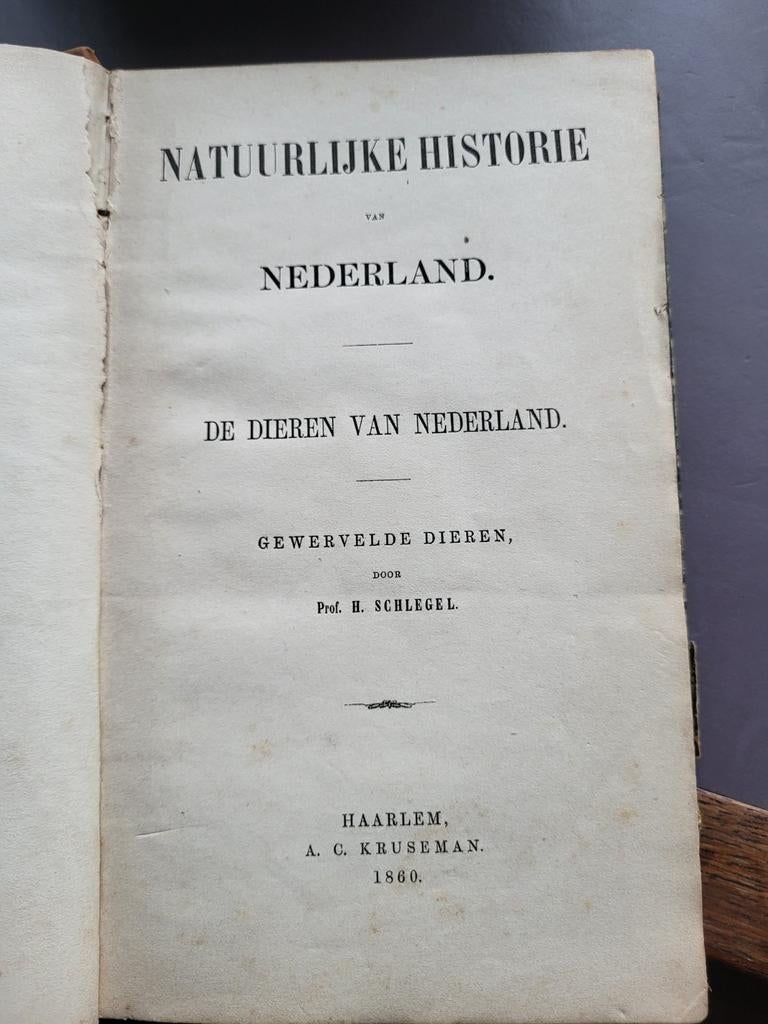 H. Schlegel vogels 1860, Antiek en Kunst, Ophalen of Verzenden