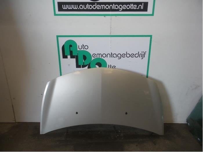 Motorkap van een Renault Clio (Clio 3 06-), Auto-onderdelen, Gebruikt, -, Renault, -
