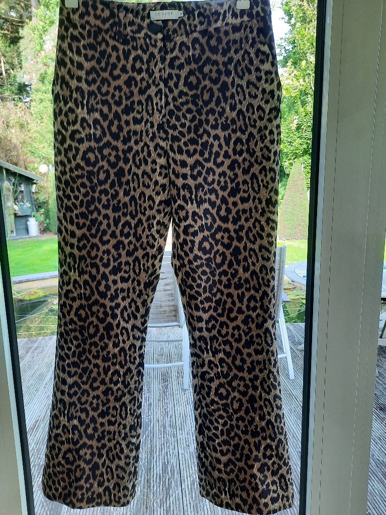 Toffe broek COSTER - 36, Coster, Zo goed als nieuw, Maat 36 (S), Lang