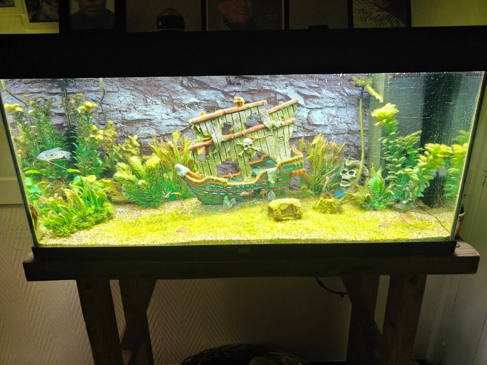 Juwel 180 aquarium te koop, Enlèvement, Utilisé, Juwel, Plantes incluses