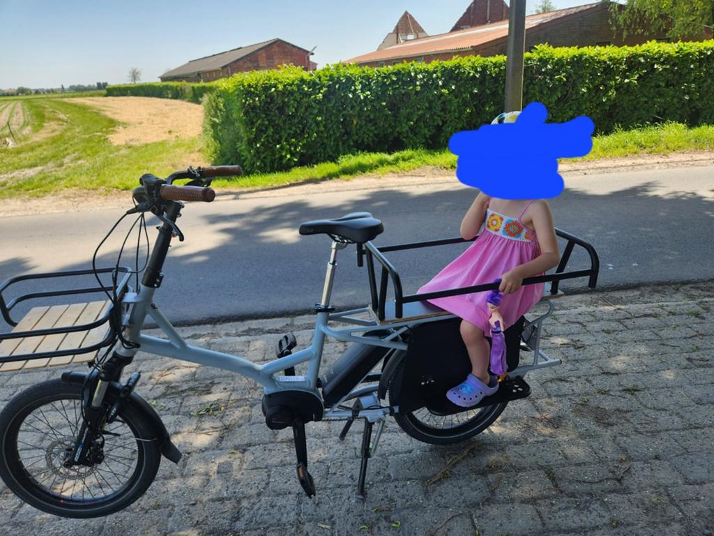 Electrische bakfiets voor twe kinderen, Enlèvement