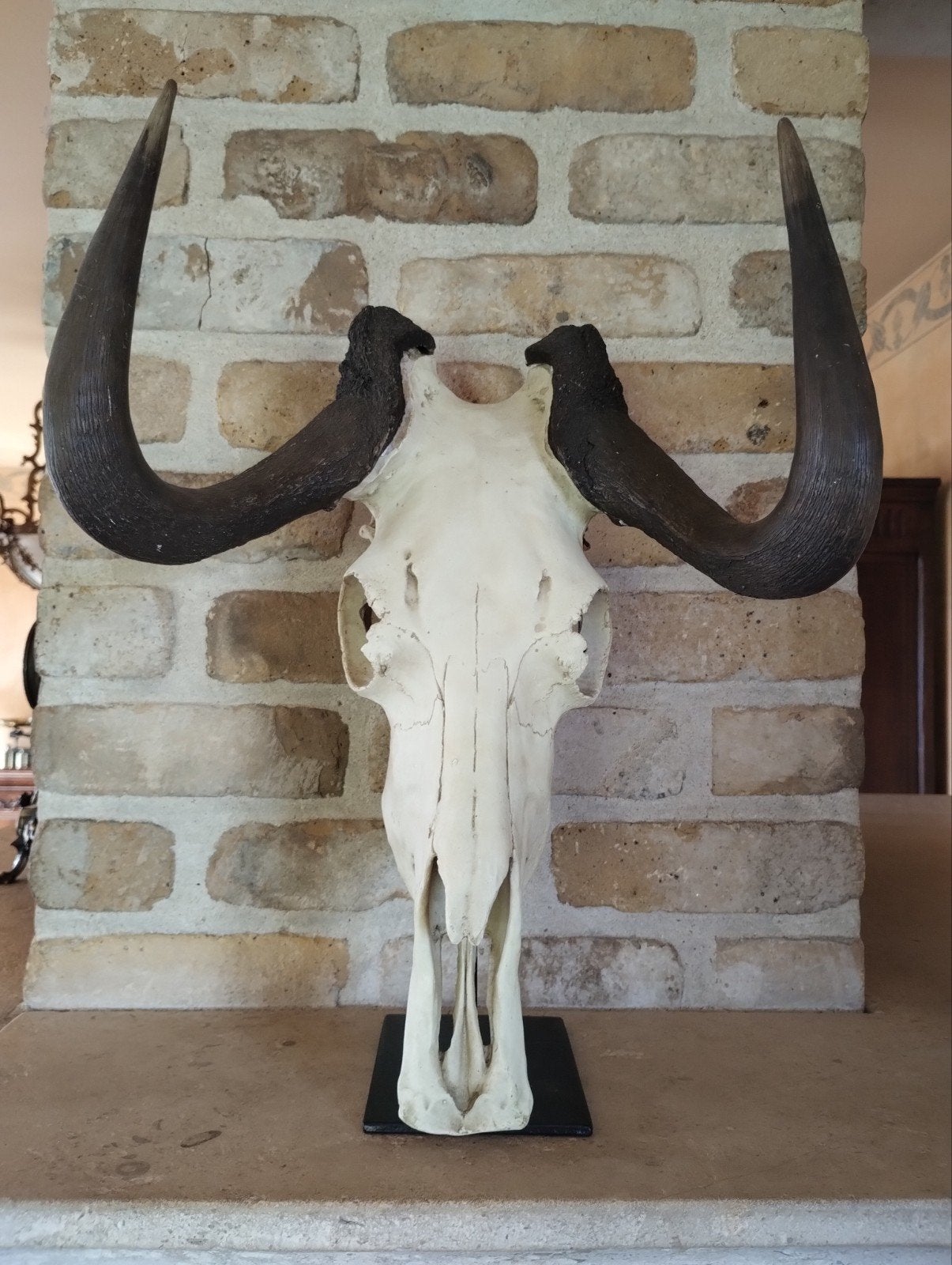 taxidermie gnou, Enlèvement ou Envoi