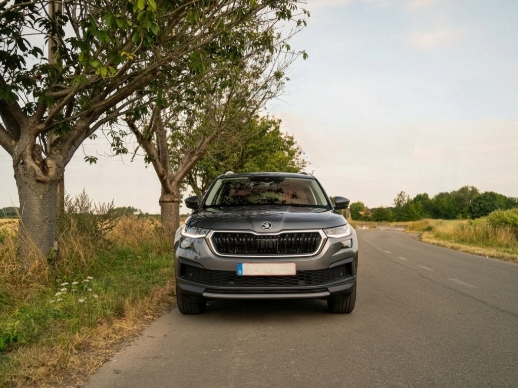 KODIAQ 45000km - Garantie jusqu'en Avril 2029 ou 60.000 km, Autos, Skoda, Argent ou Gris, Achat, Entretenue par le concessionnaire