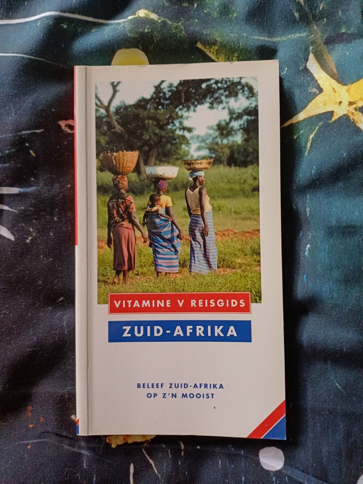 Reisgids Vitamine v: Zuid-Afrika, Livres, Guides touristiques, Enlèvement ou Envoi, Comme neuf, Afrique, Guide ou Livre de voyage