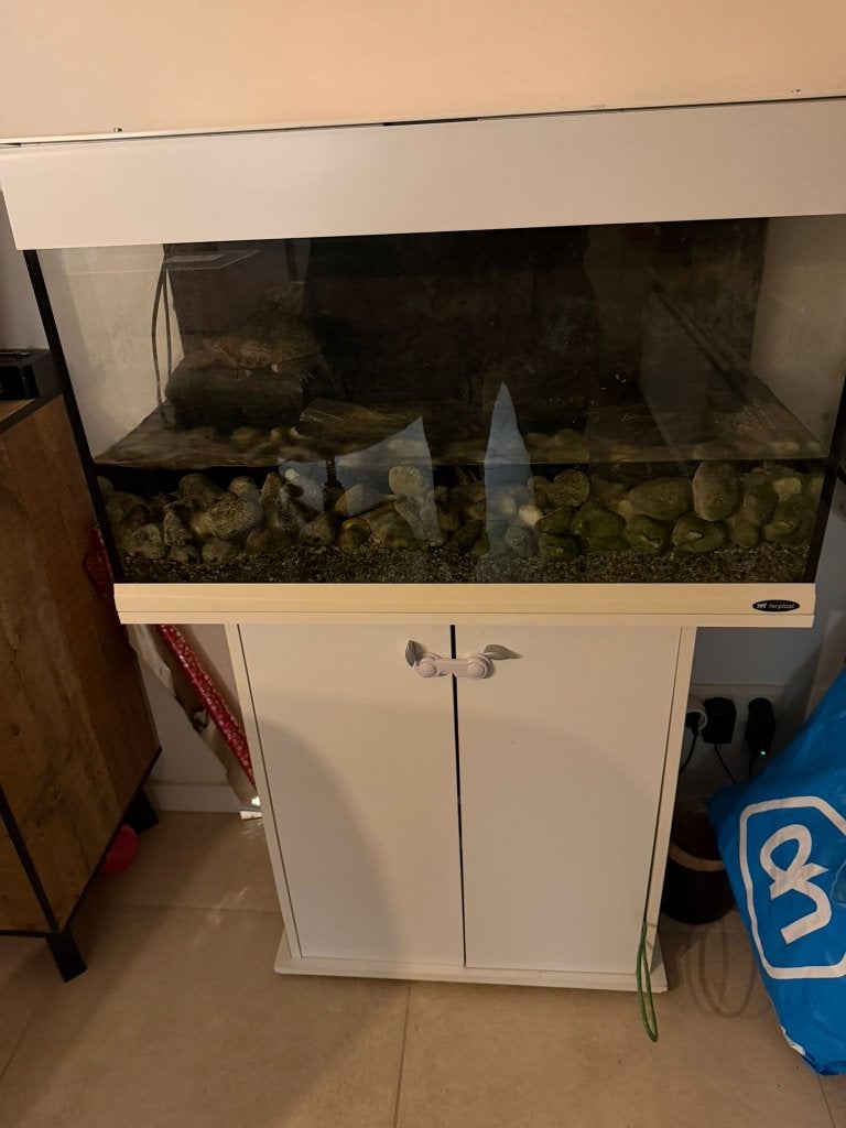 Te koop Aquarium, Enlèvement