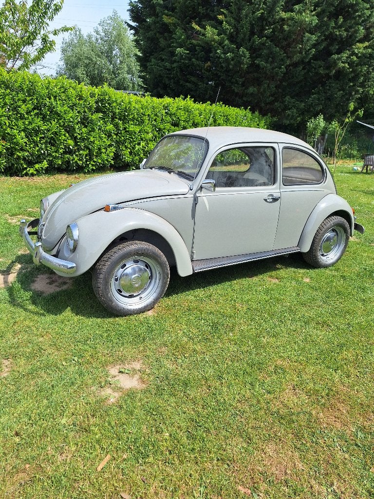 vw coccinelle 1968 A TERMINER (cablage ellectrique ), Auto's, 4 zetels, Beetle (Kever), 4 cilinders, Wit