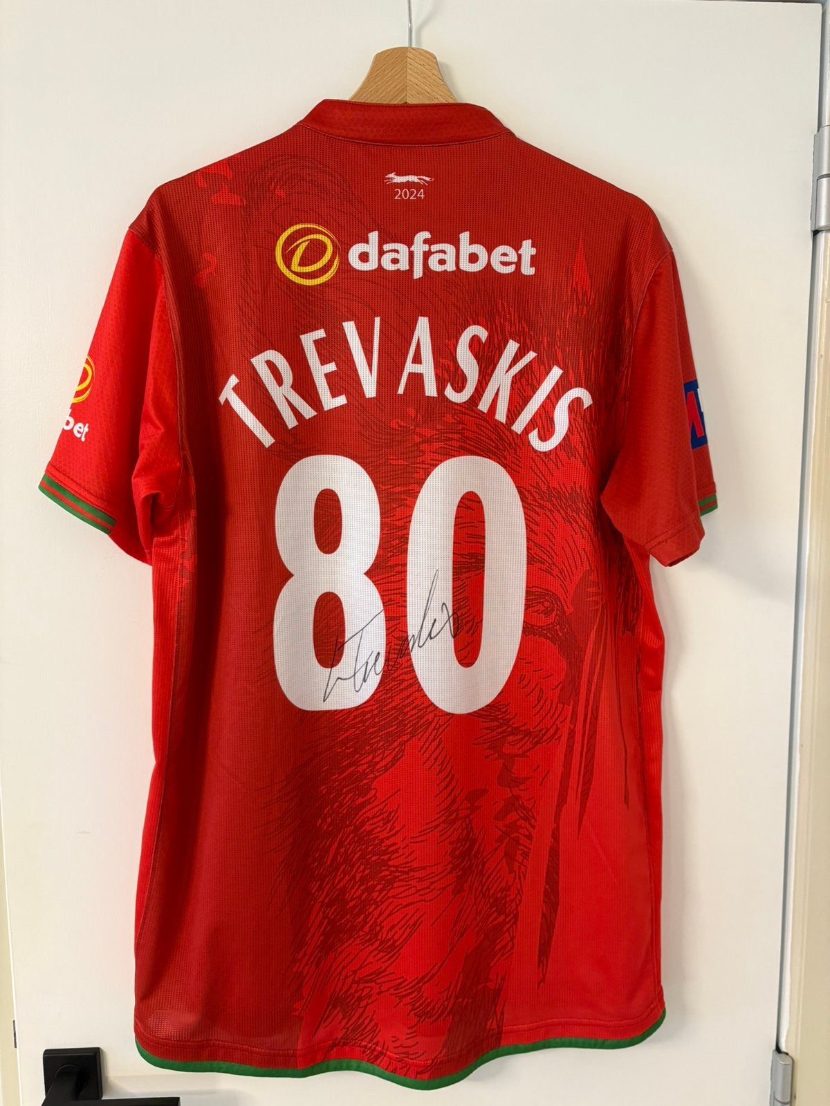 Matchworn shirt (signed), Verzamelen, Ophalen of Verzenden, Zo goed als nieuw, Shirt