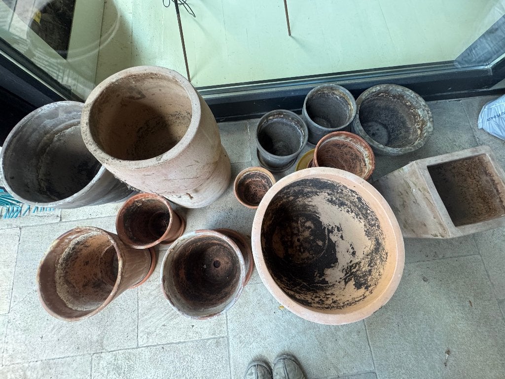 Lot d’une douzaine de pots en terre cuite, Enlèvement, Annuelle
