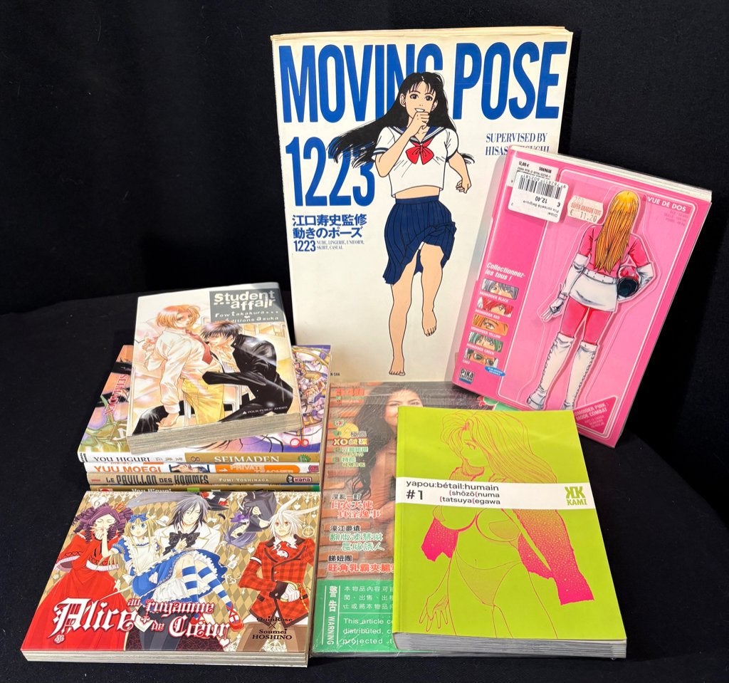 MANGA, Lot van 10 items - Frans, Engels & Japans, Boeken, Ophalen of Verzenden, Zo goed als nieuw, Meerdere stripboeken, Diverse Auteurs